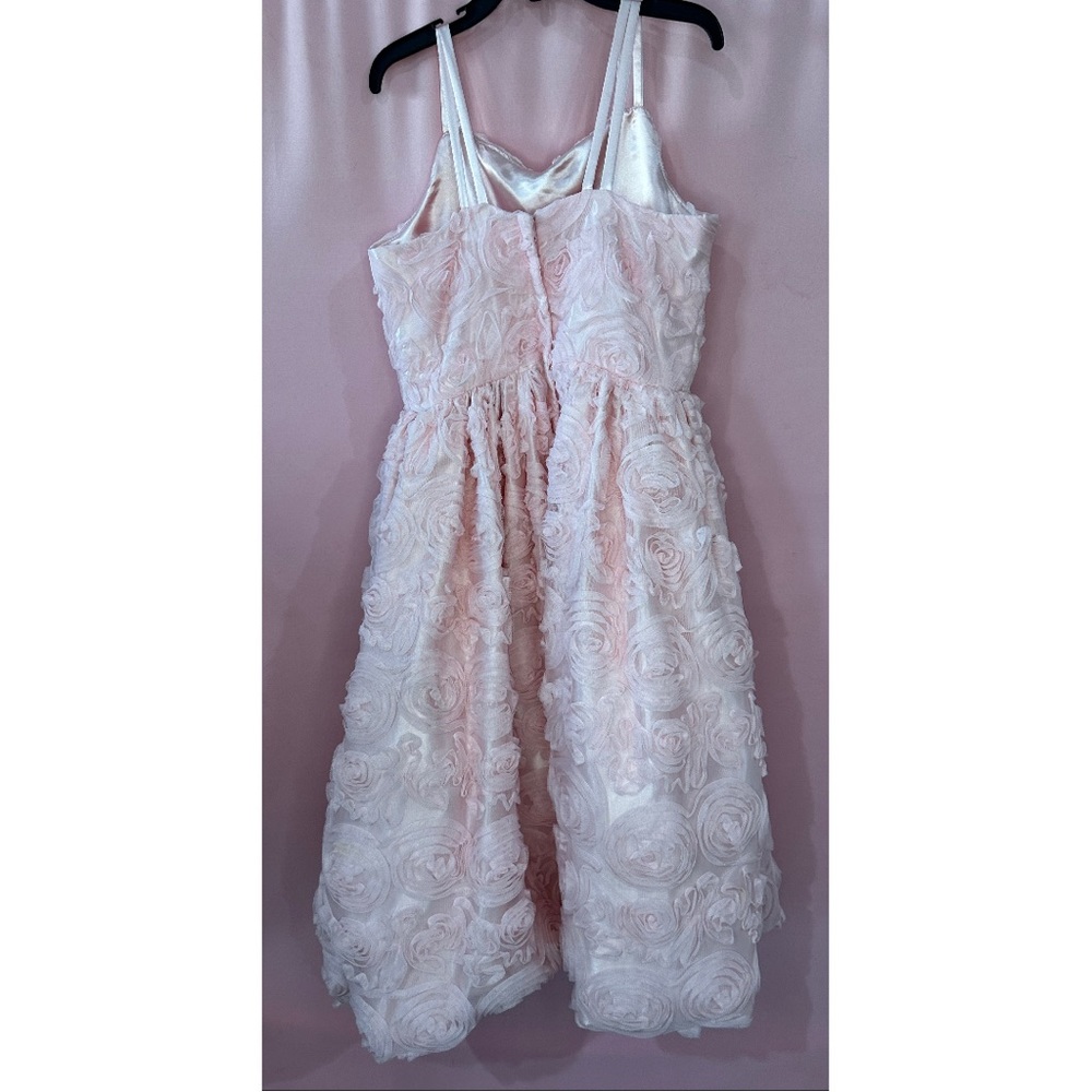 Chasing Fireflies Swirling Pink Roses Dress- Sz 7 - Picture 2 of 10